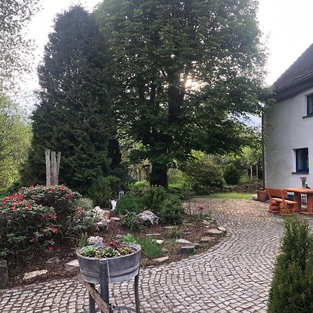 Urlaub In Der Natur Luedenscheid Exterior photo