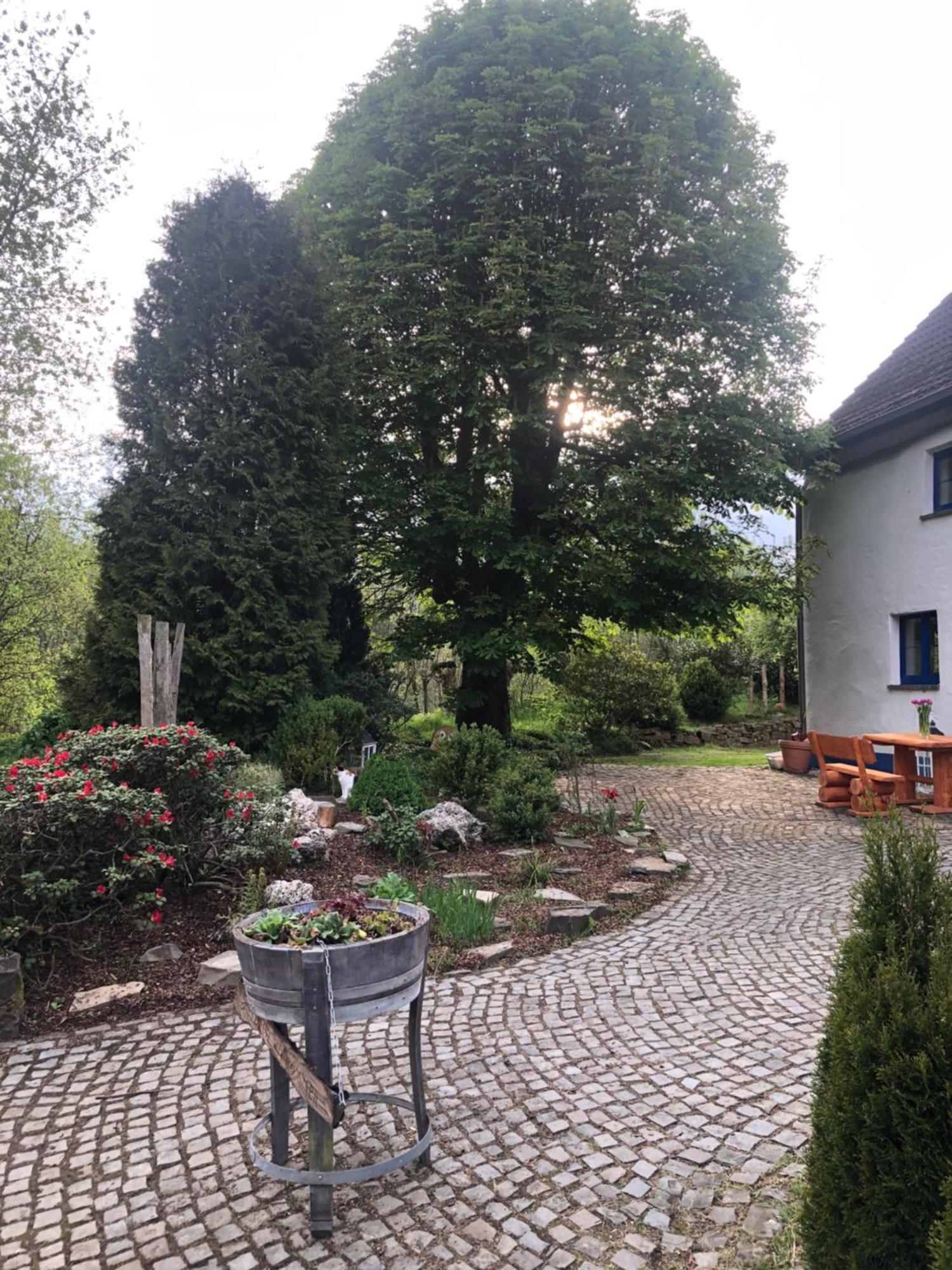 Urlaub In Der Natur Luedenscheid Exterior photo